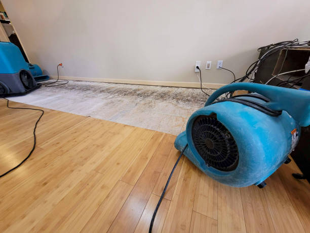 Reliable Basement Flood Cleanup contractor in Lexington, IL by Hirex Water Damage