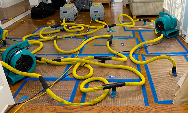 Professional Basement Flood Cleanup technician working in Lexington, IL